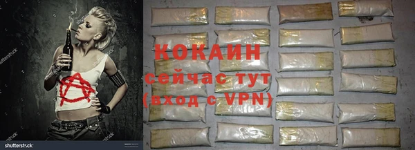 стаф Алексин