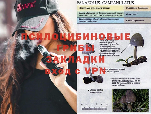 кокаин перу Алзамай