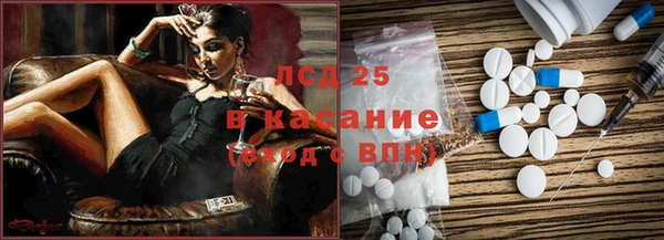 стаф Алексин