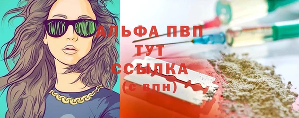 стаф Алексин