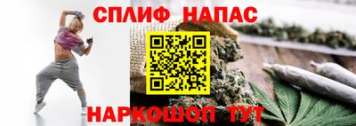 мет Моздок