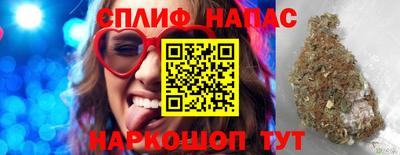 PSILOCYBIN Можга
