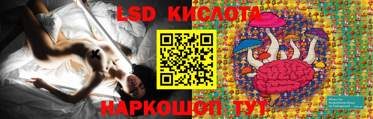 Наркотические марки 1,8мг  Наркотические марки 1,8мг  Дзержинск  Вход с VPN 